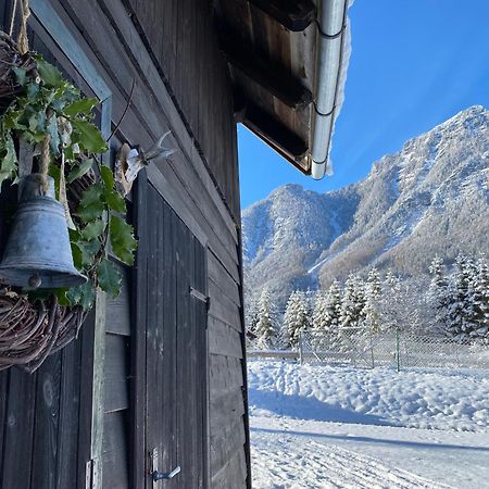 Chalet Am Weissenbach Hinterstoder Exteriör bild