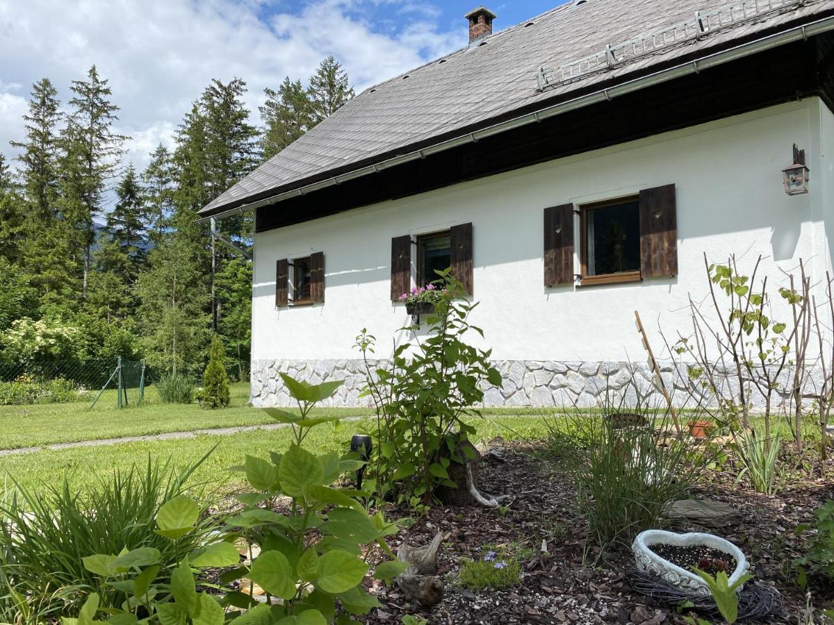 Chalet Am Weissenbach Hinterstoder Exteriör bild