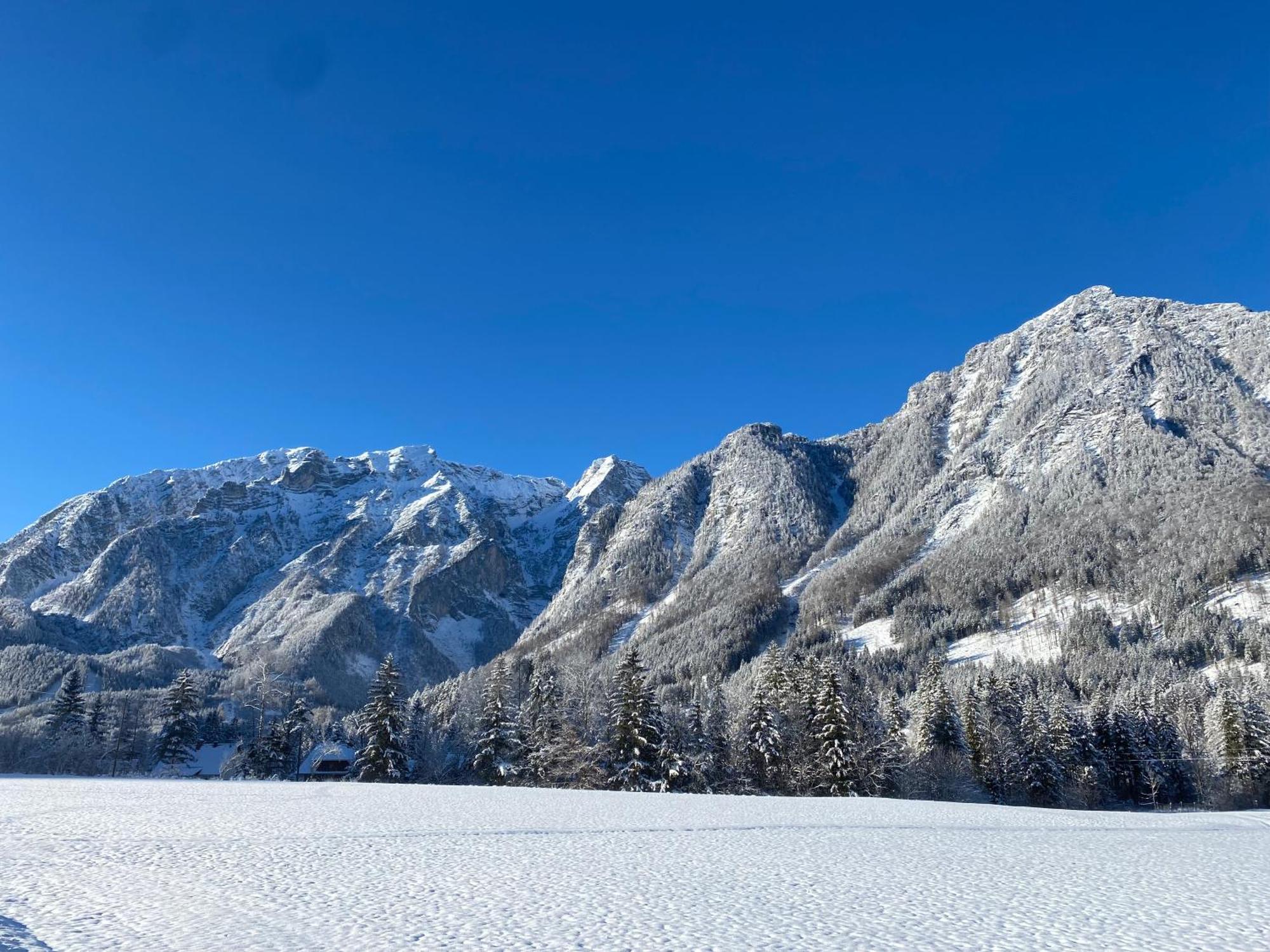 Chalet Am Weissenbach Hinterstoder Exteriör bild